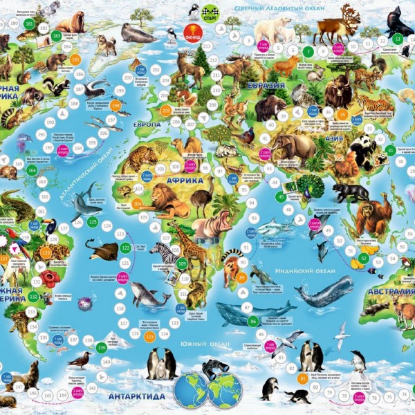 Pokrywa dwustronna (rysunkowa + markerowa powierzchnia)